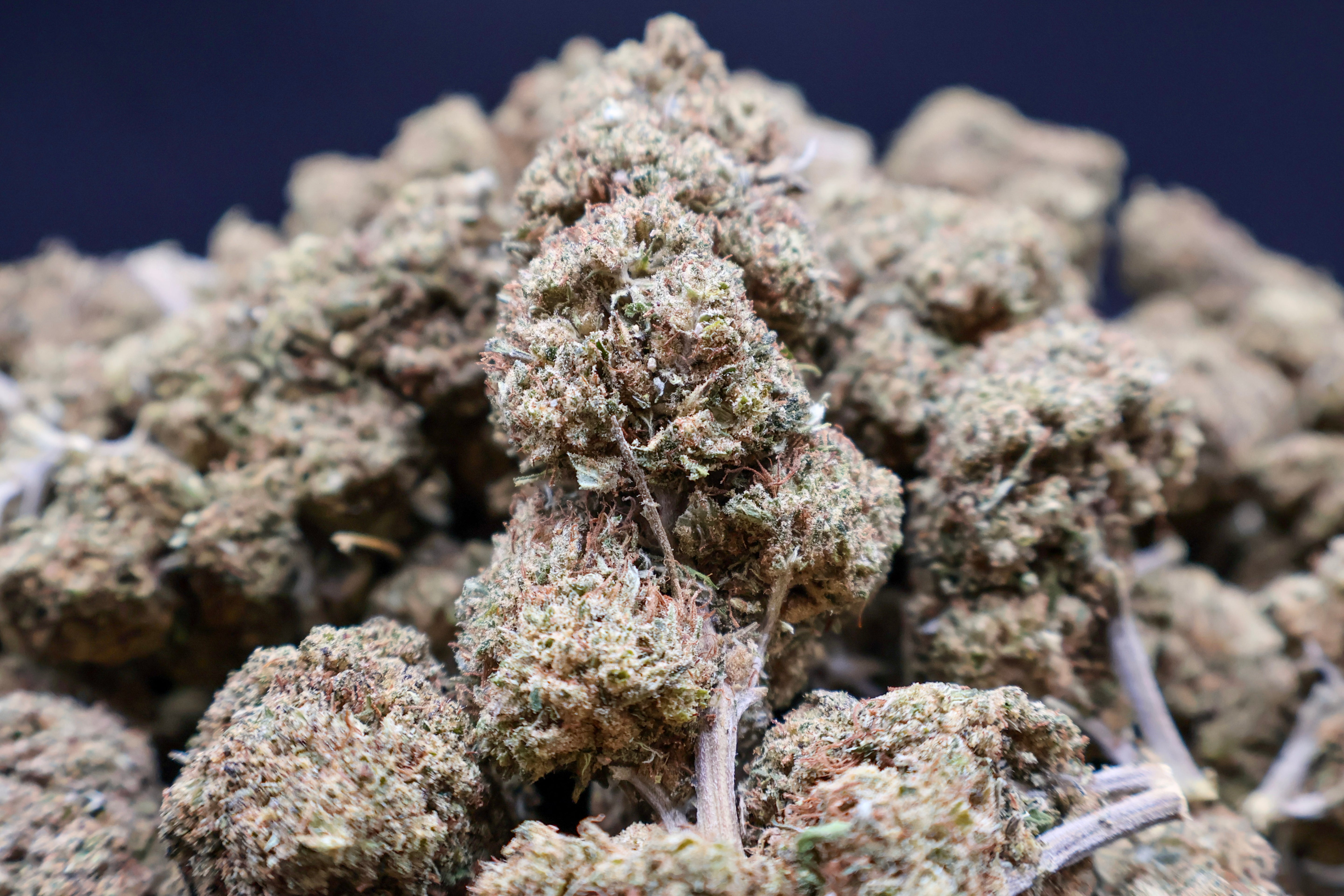 Super Lemon Haze THC-B 30G