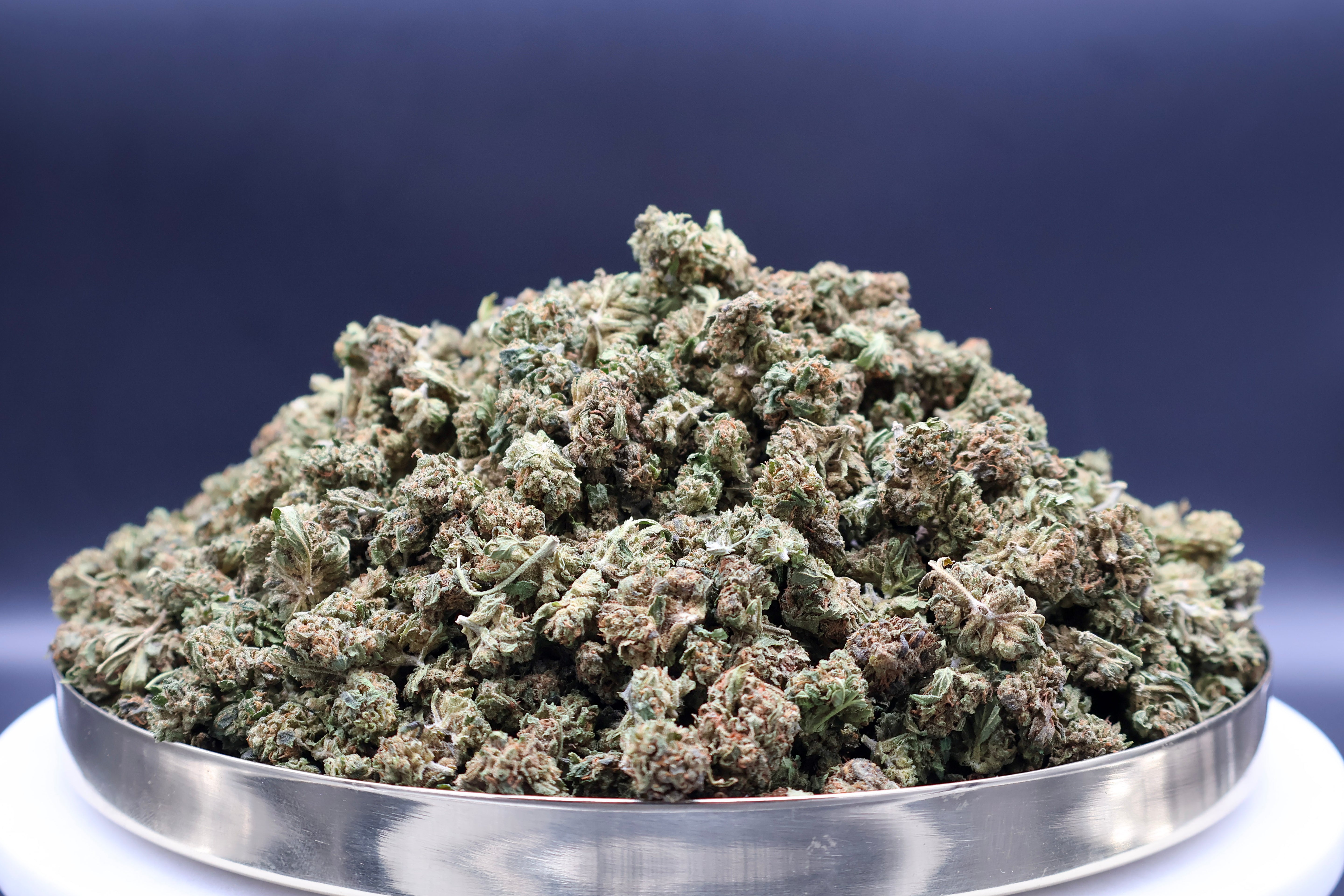 Mini Gelato Cookie CBD