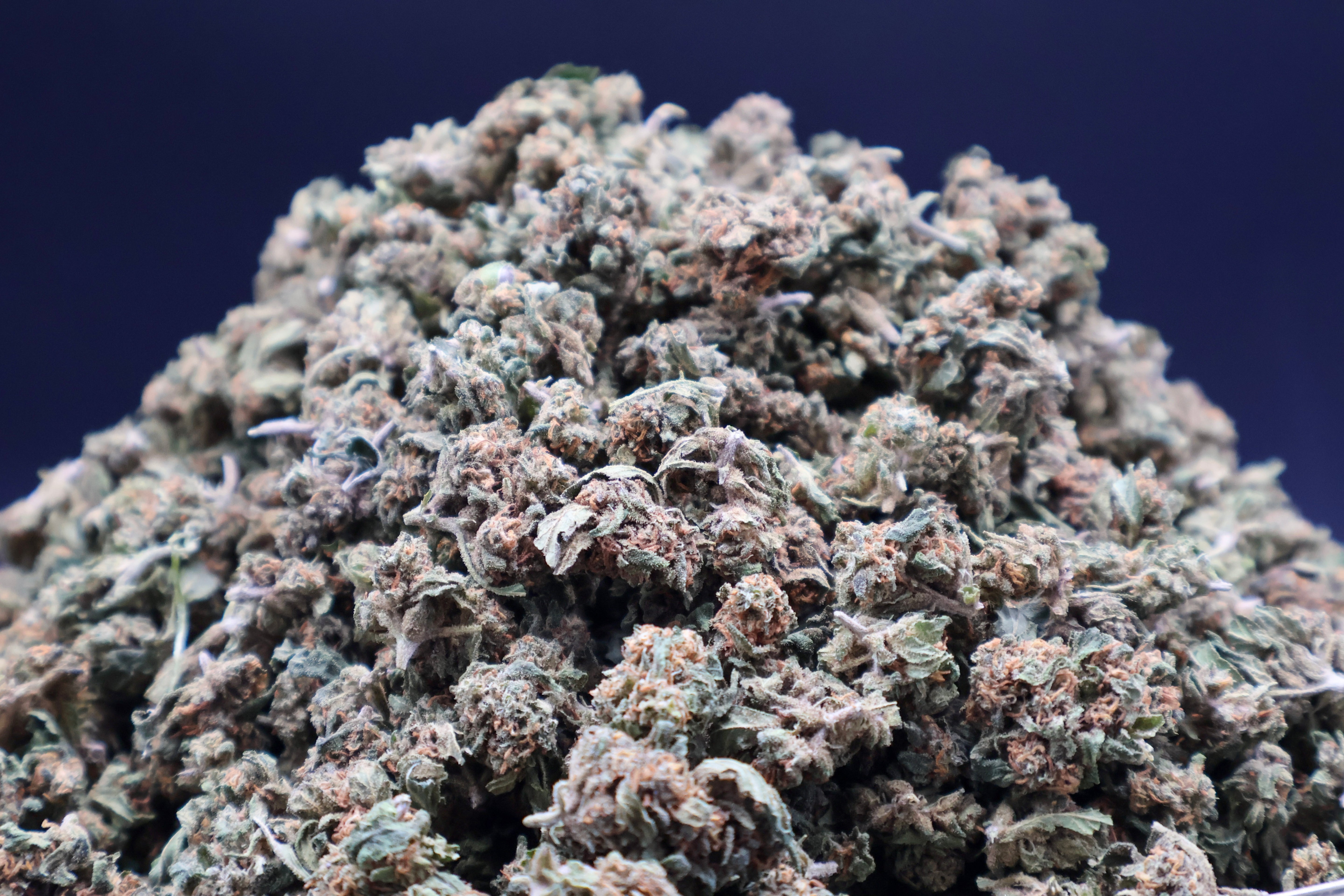 Mini Lemon Haze CBD