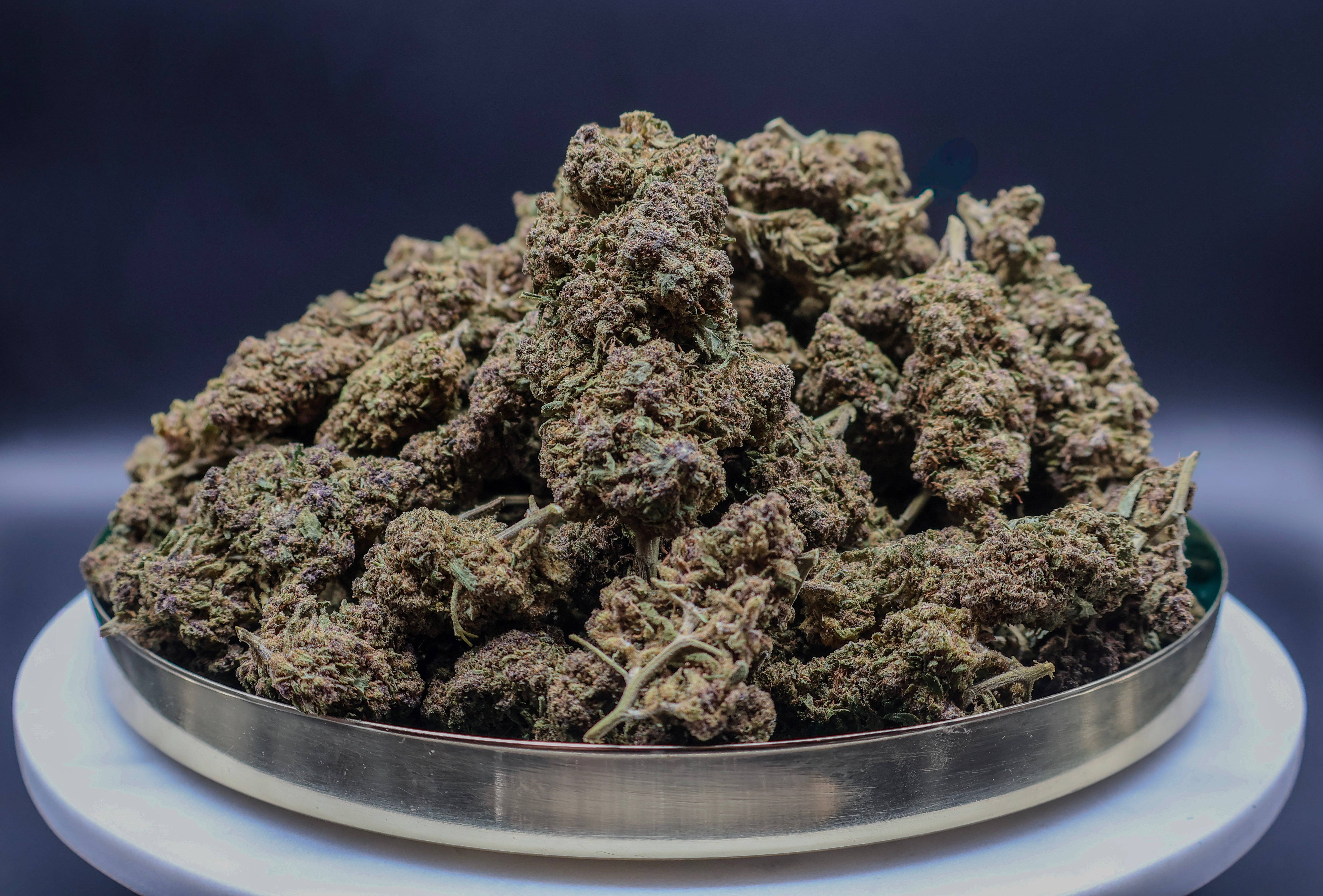 Purple Haze CBD