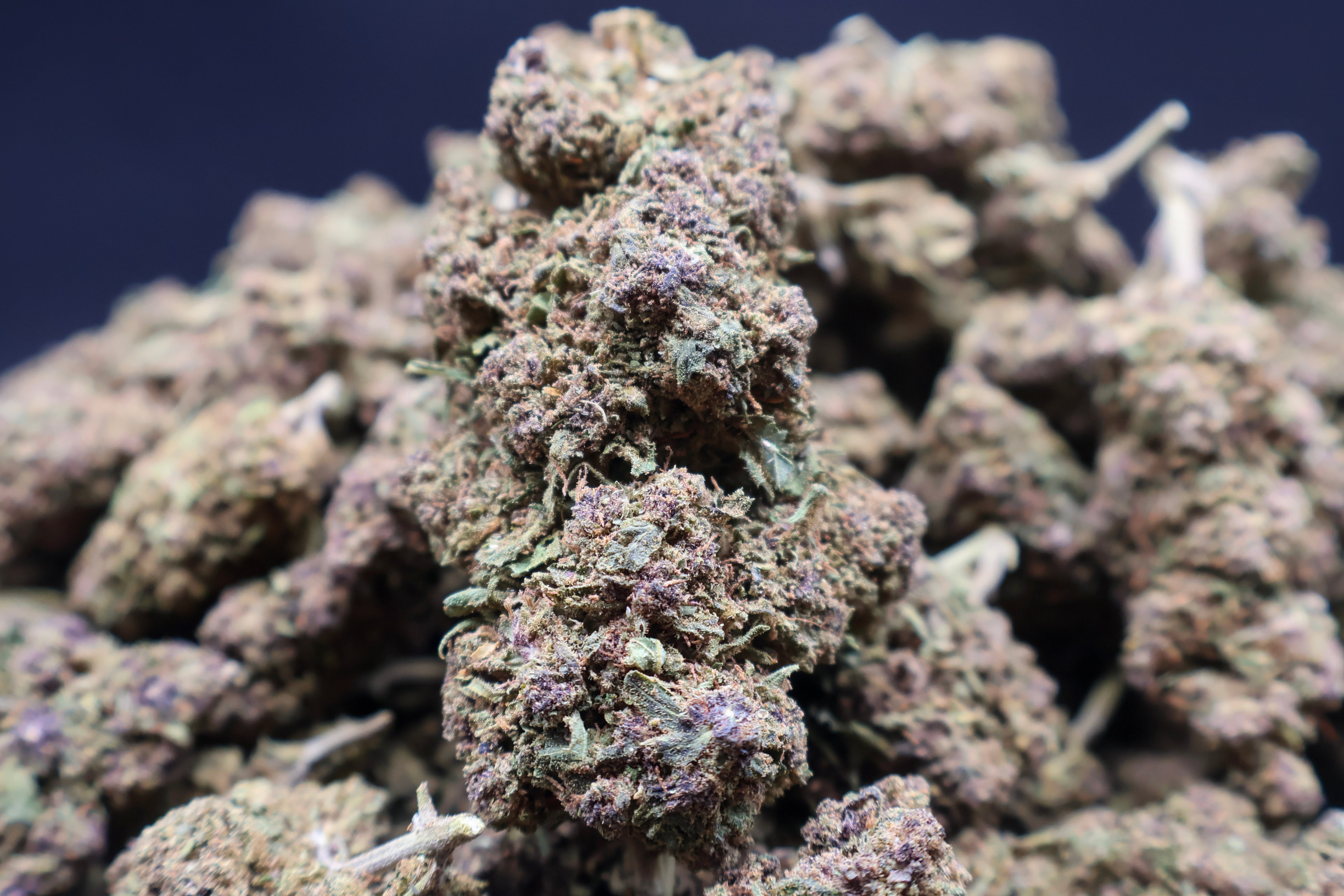 Purple Haze CBD