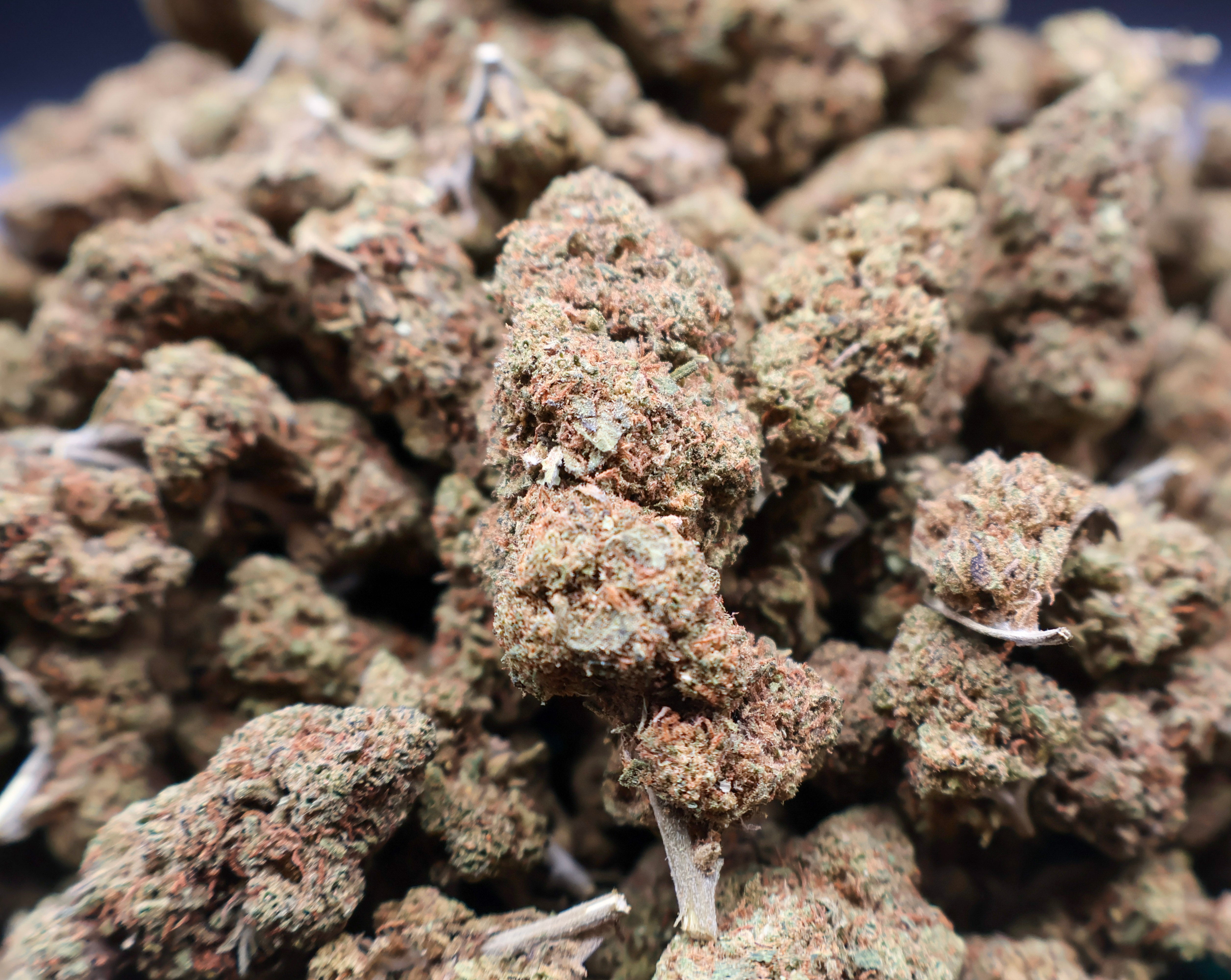 Zkittlez Punch CBD 50G