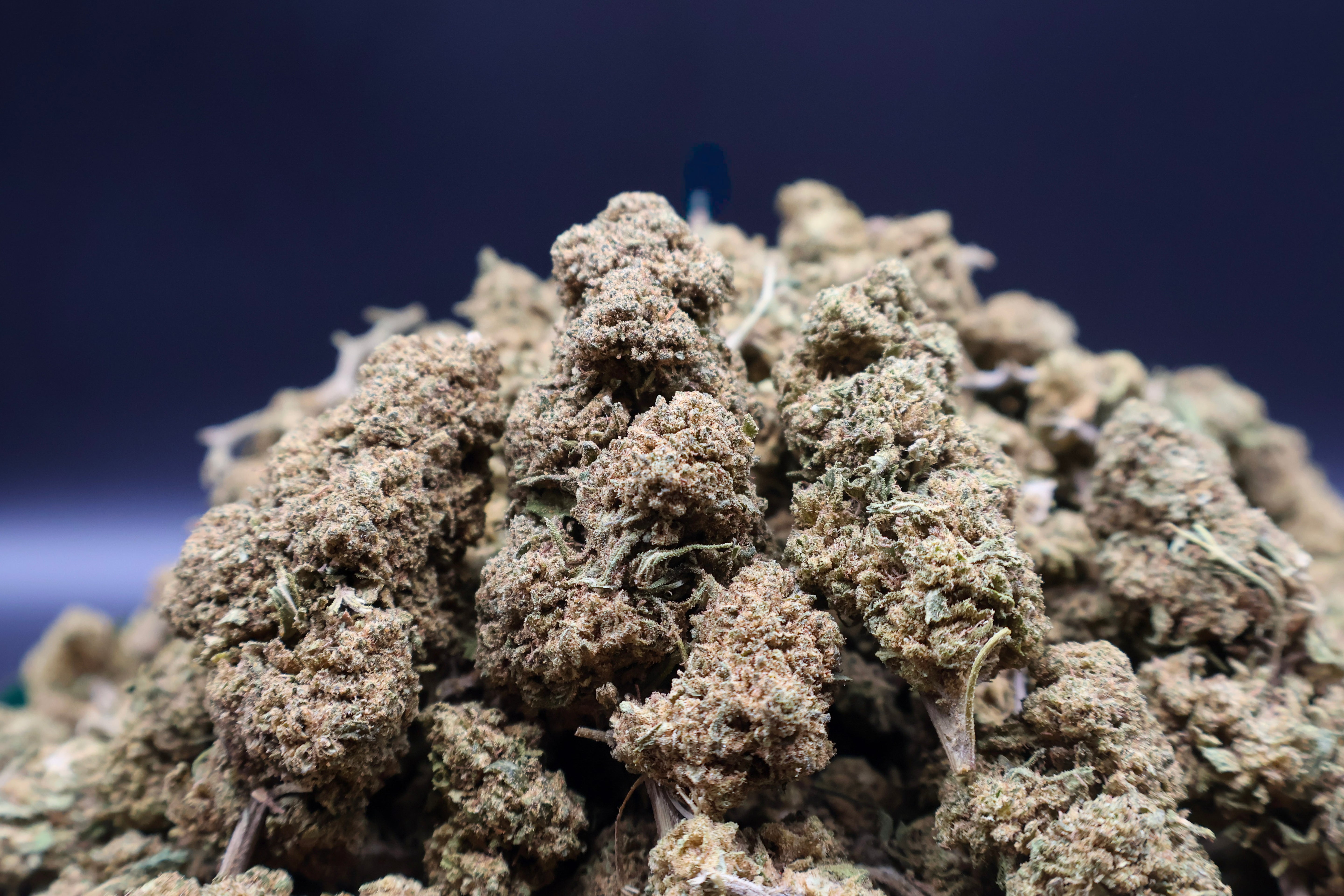 Cherry Pie CBD 50G