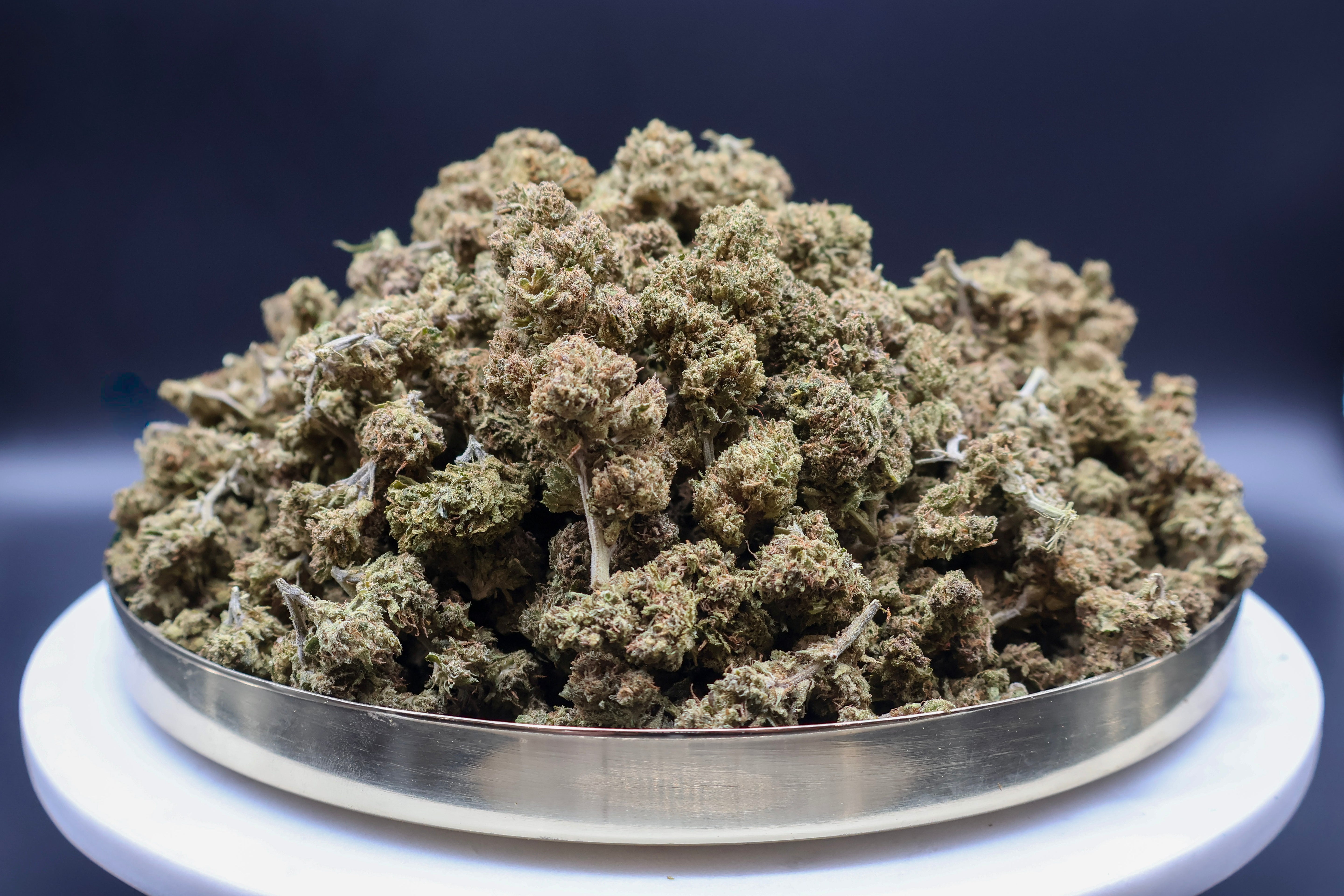Mimosa OG CBD 50G