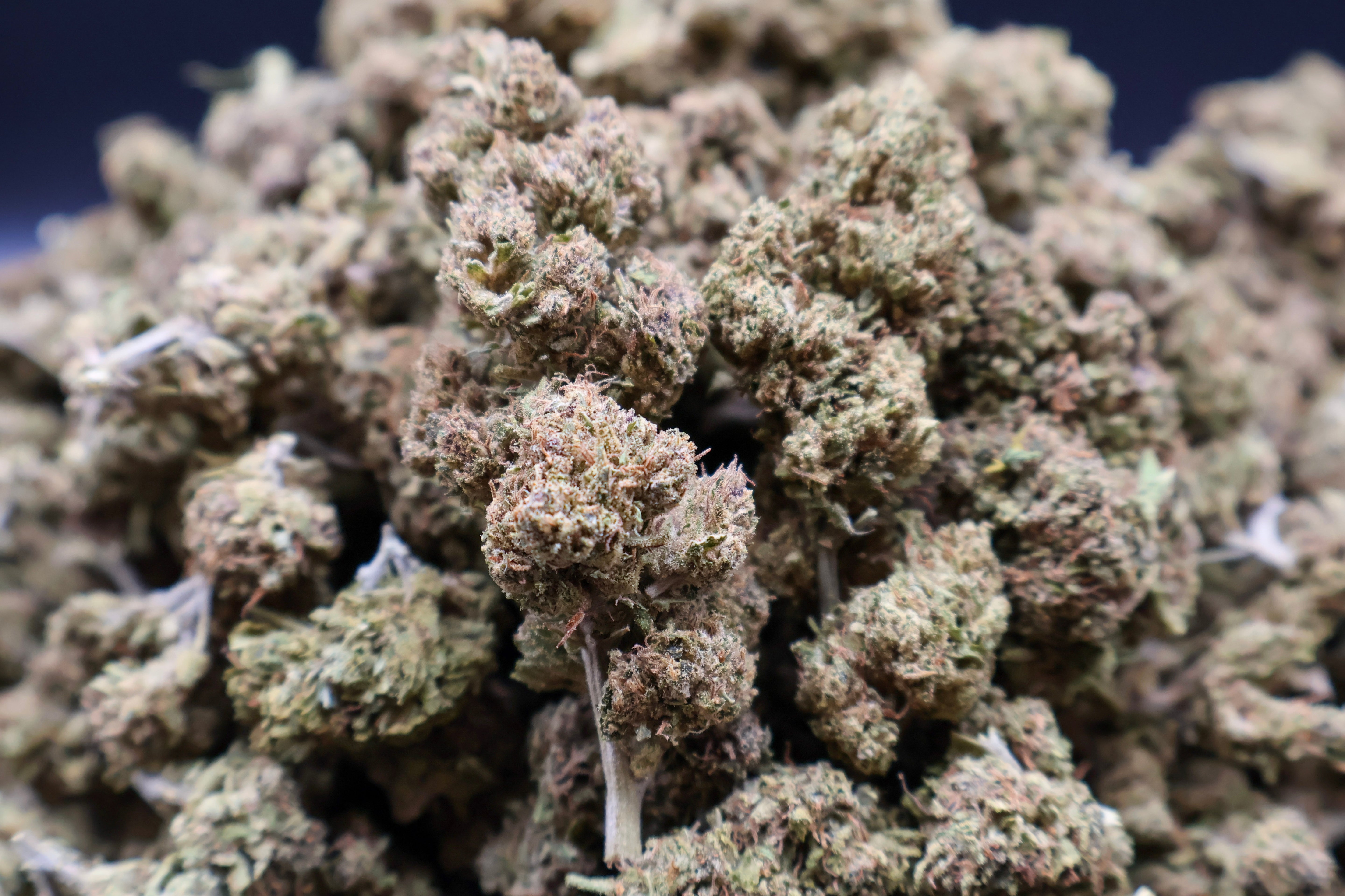 Mimosa OG CBD 50G