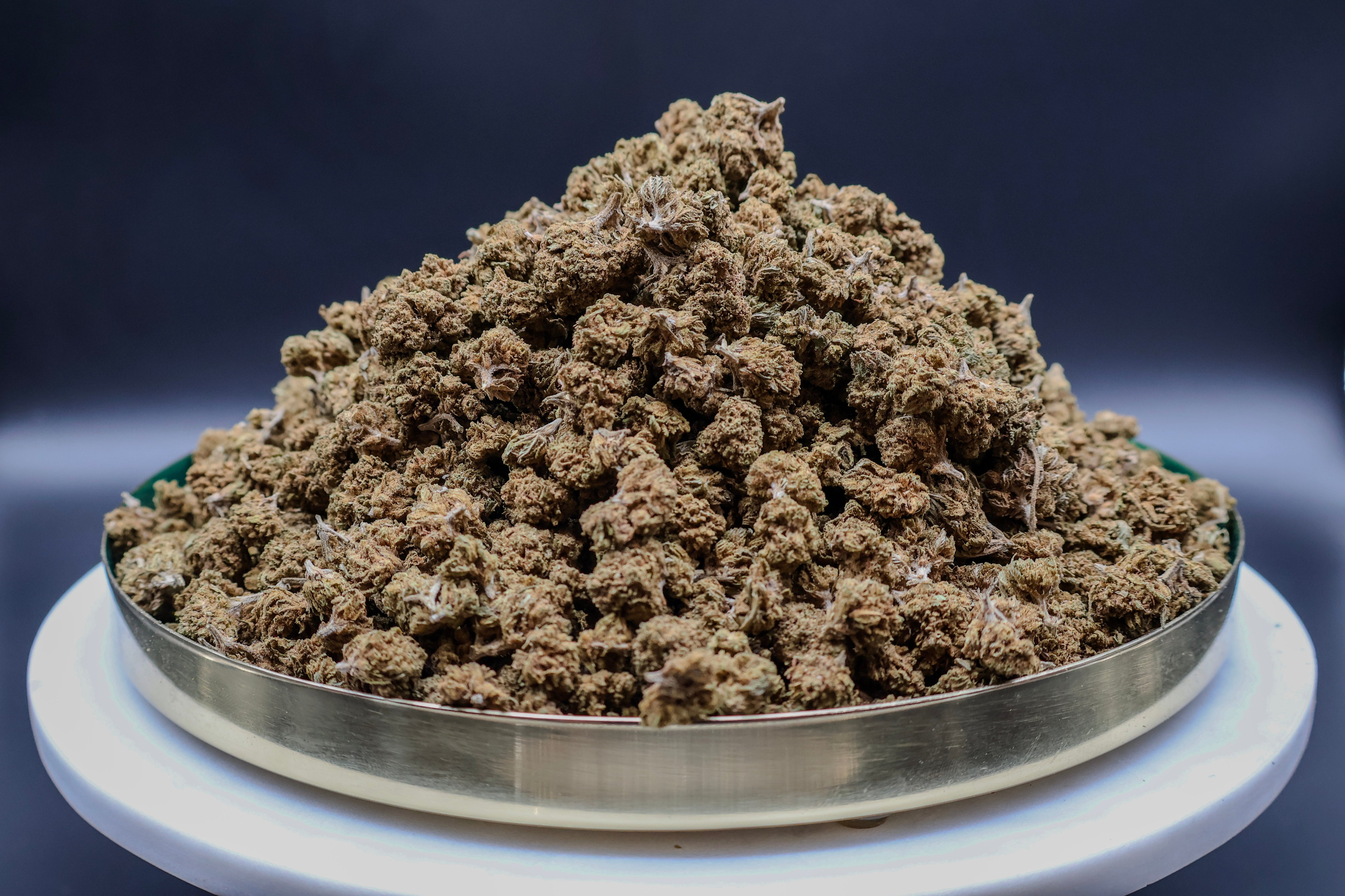 Mini Lemon Haze CBD 2. Sortering 100G