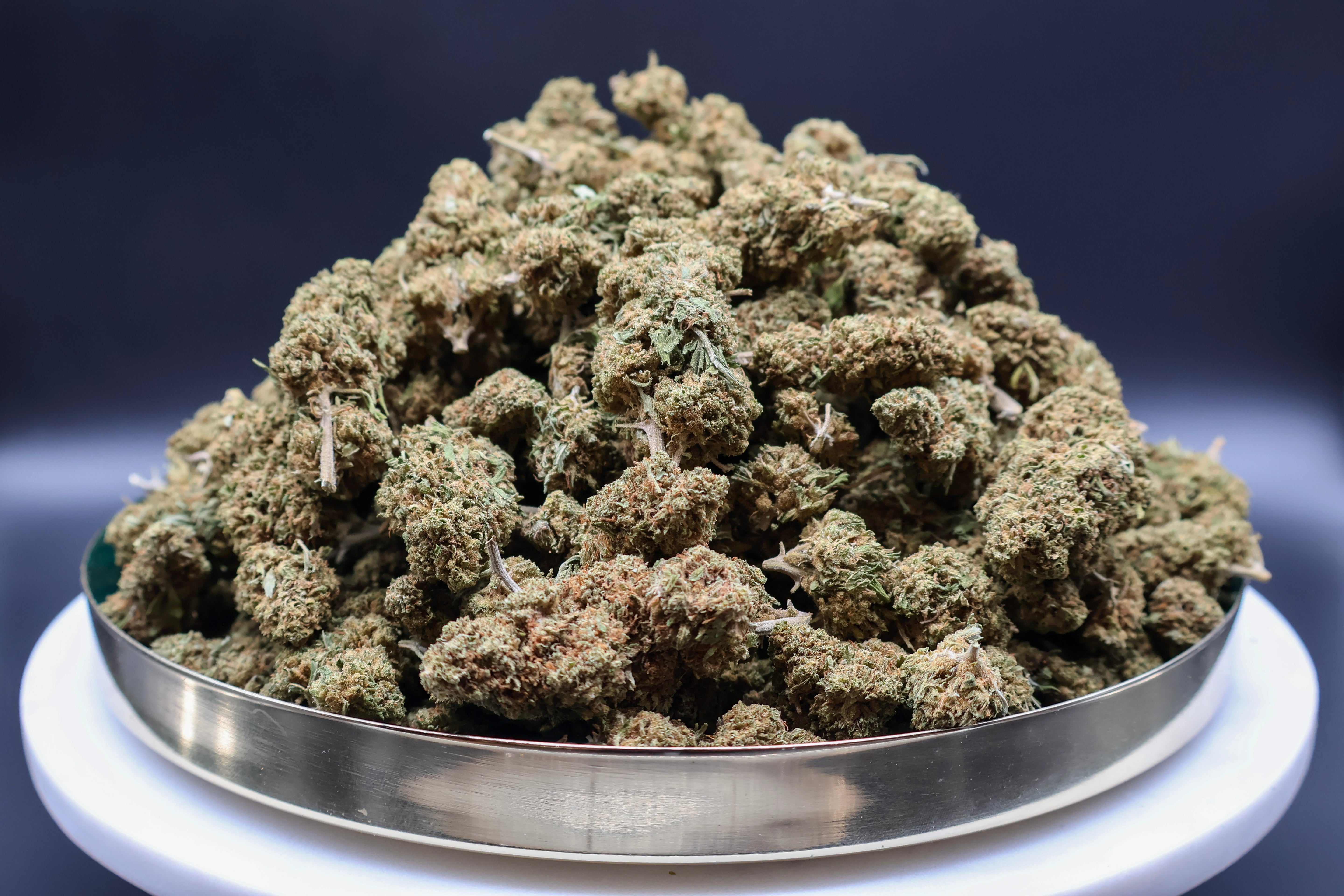 Amnesia Haze CBD 50G