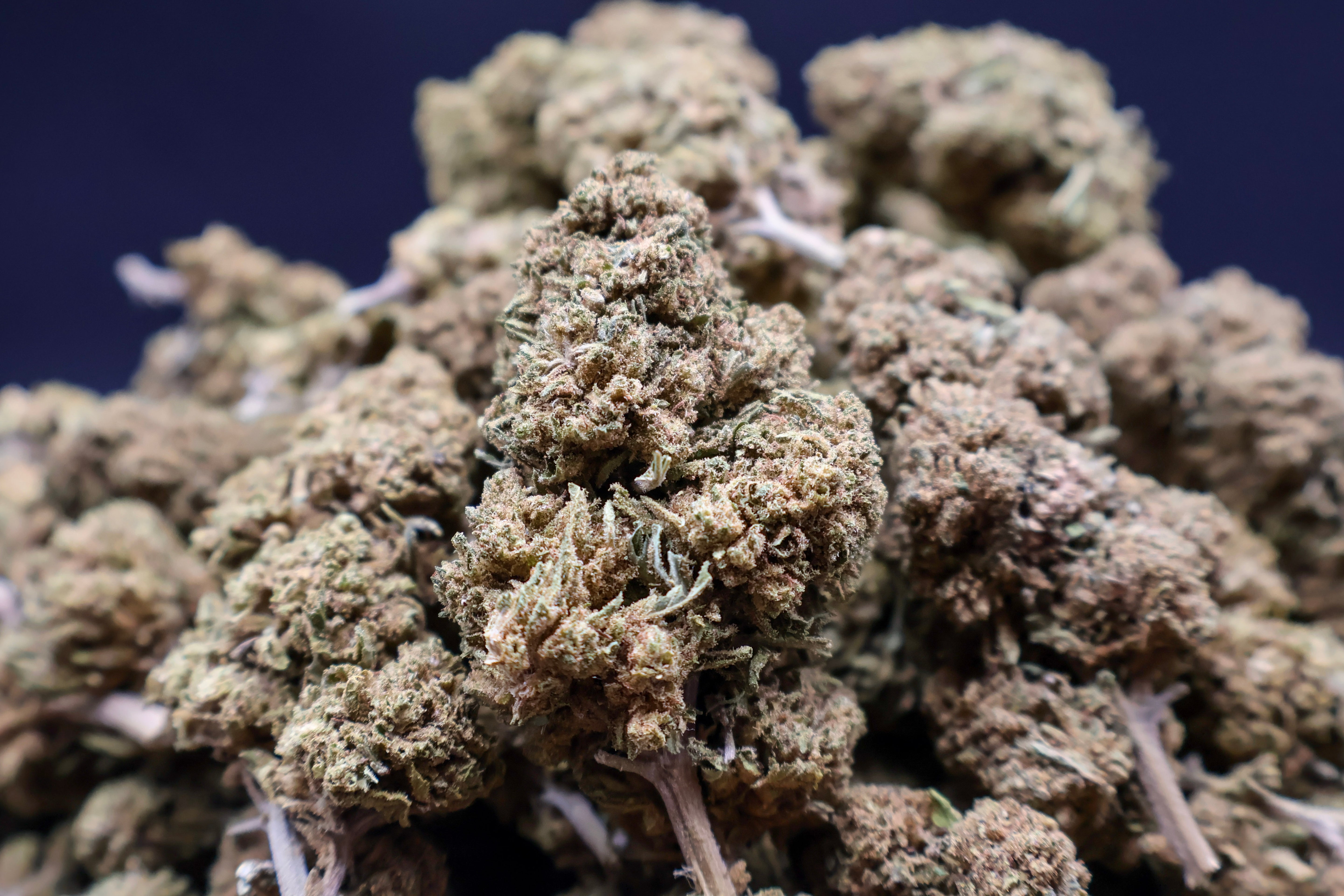 Banana Amnesia CBD 50G