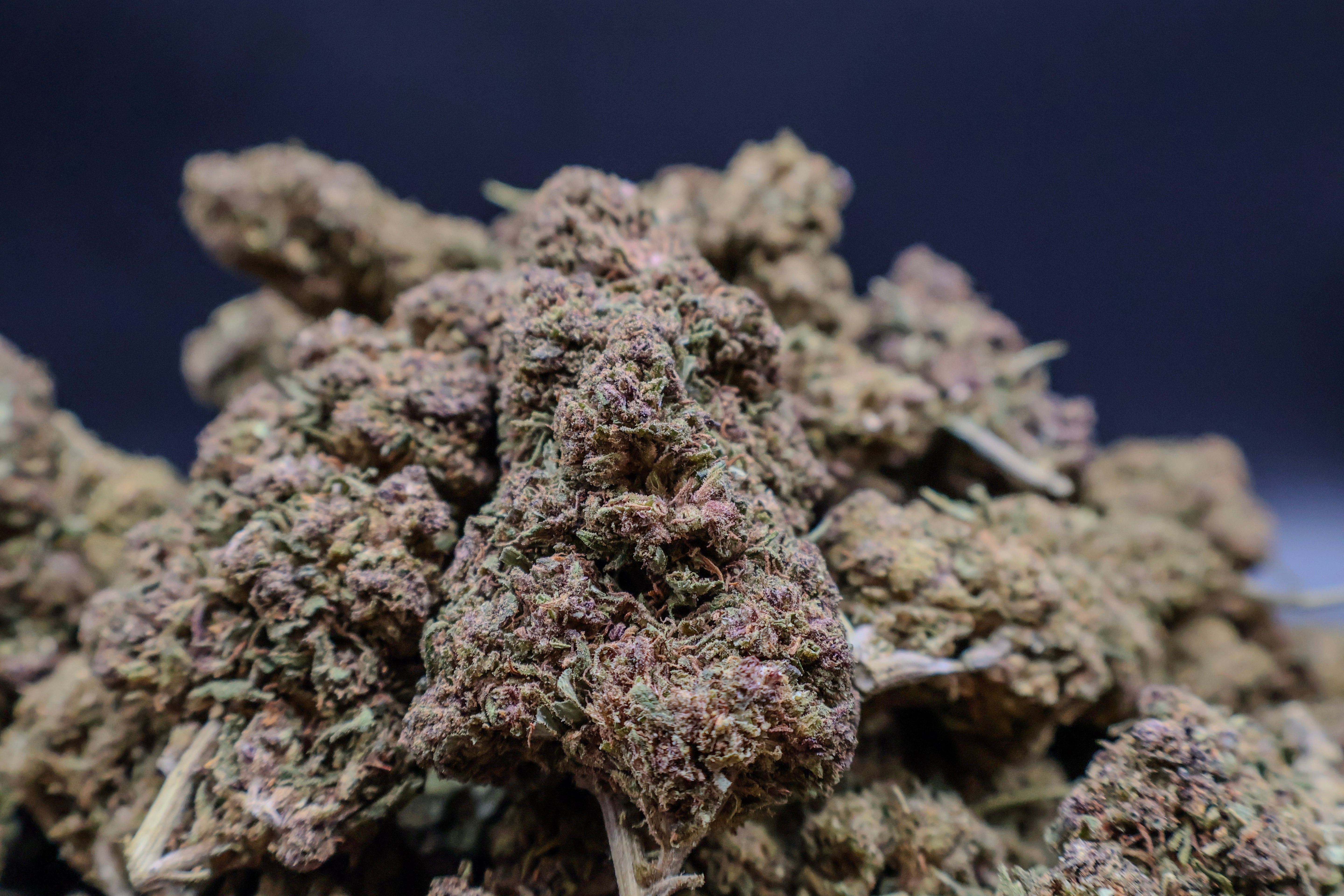 Super Skunk CBD 50G