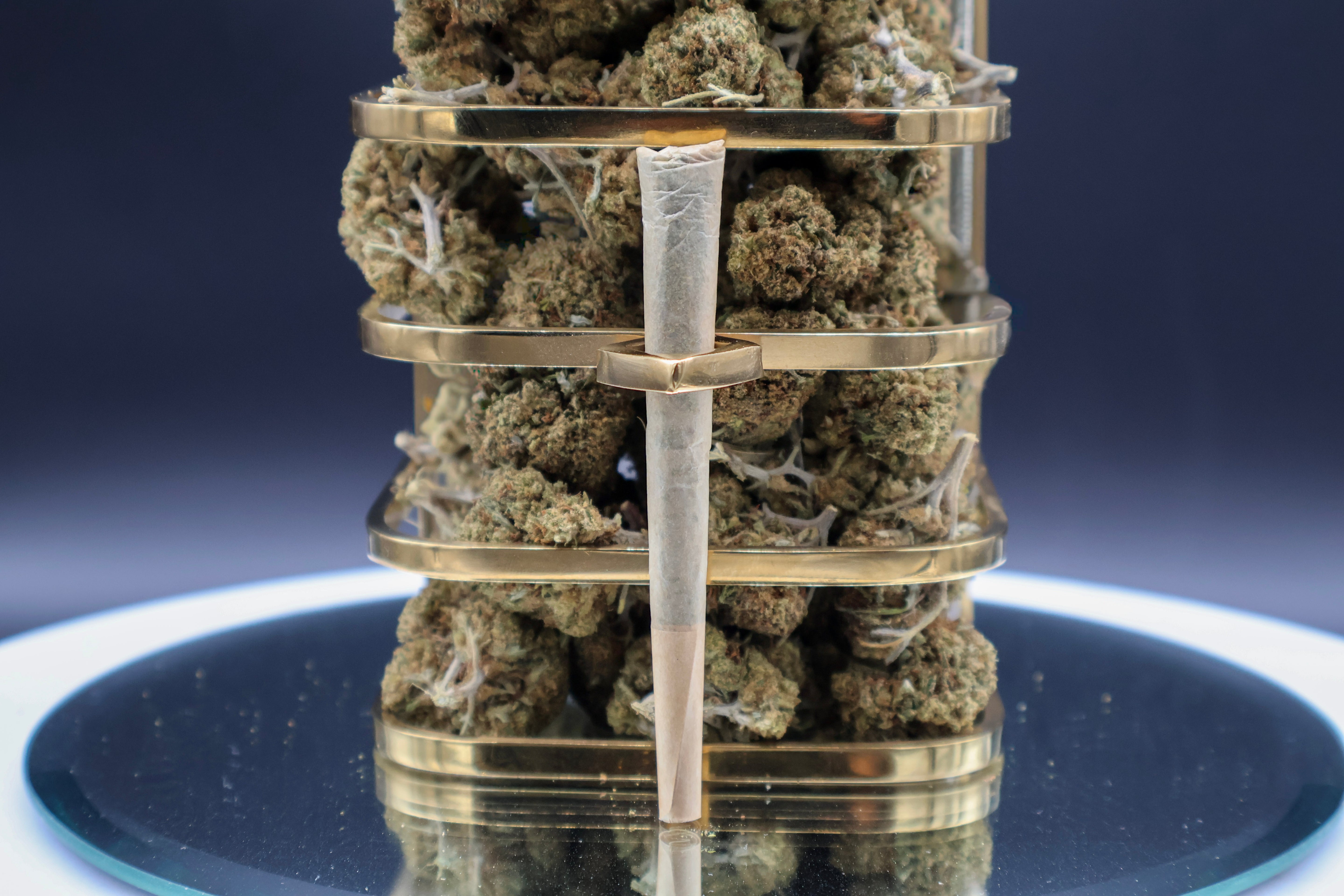 CBD Pind - Lemon haze 1G