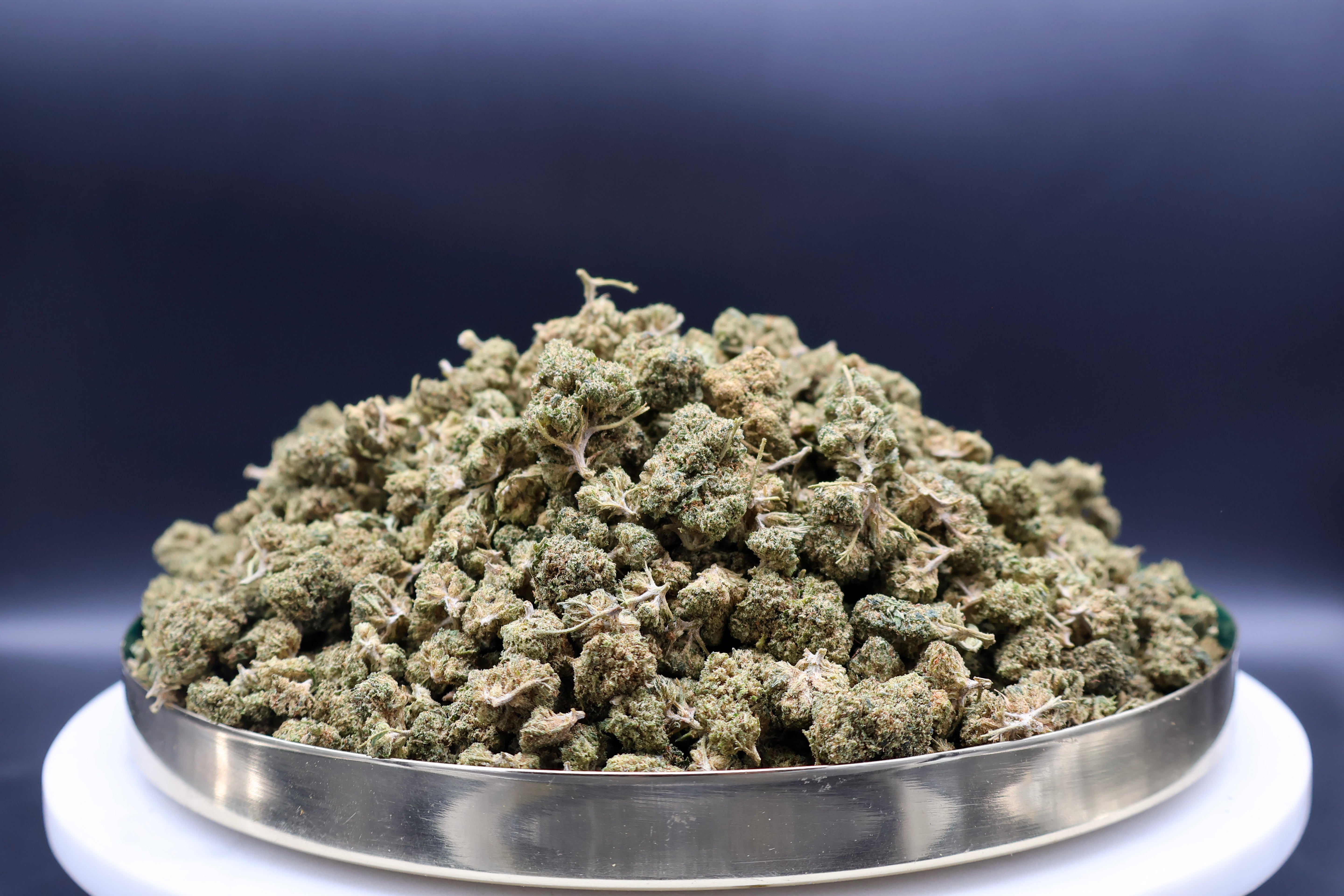 Cali Amnesia Haze THC-JD
