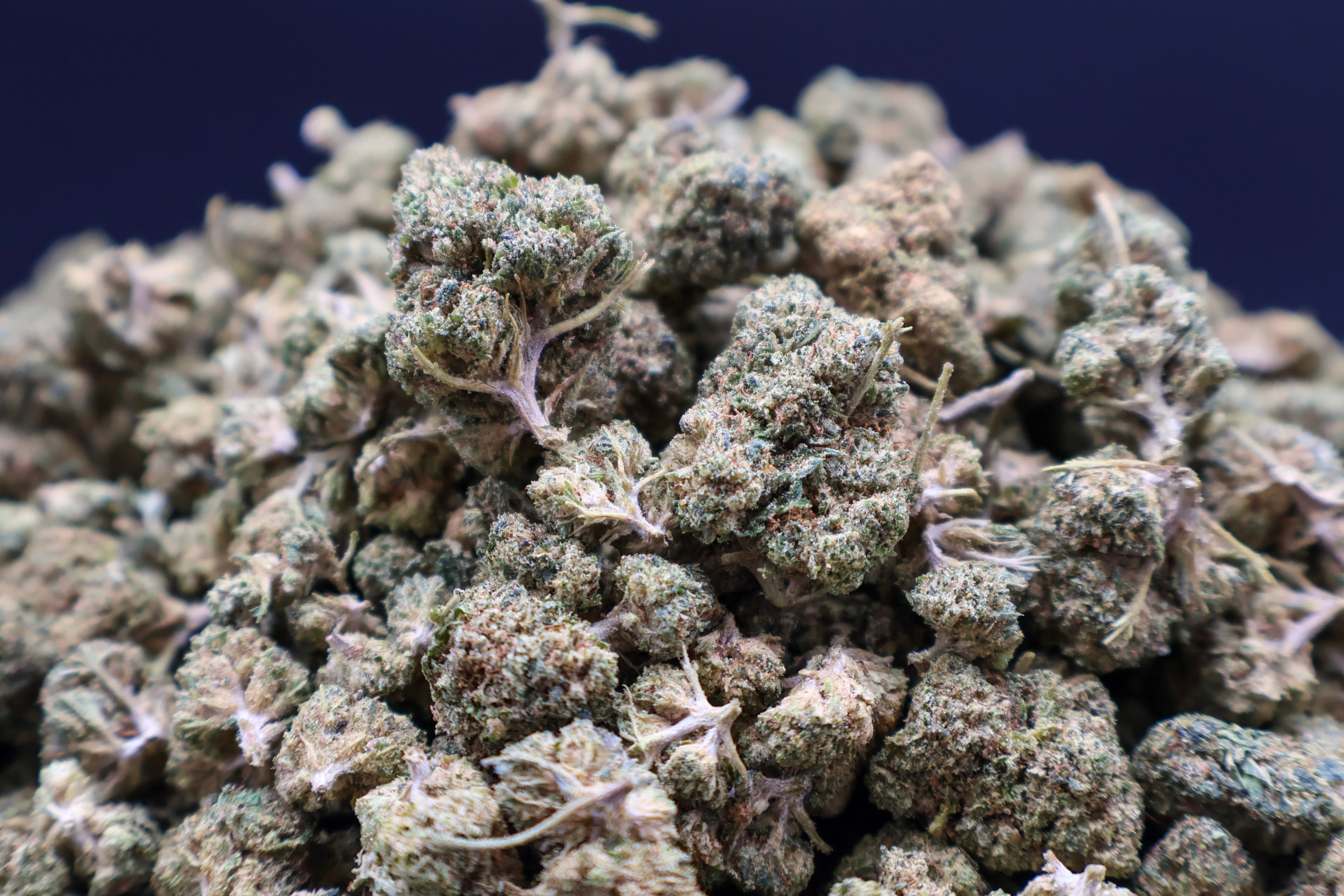Cali Amnesia Haze THC-JD